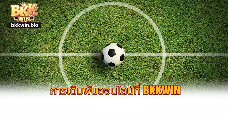 ภาพรวมของ การเดิมพันออนไลน์